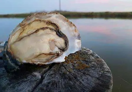 Holiday home Maison Les Bains Ronce-les-Bains